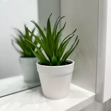 Palace Apartman,t13, Ac, Klima Appartamento Székesfehérvár